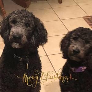 Meet your Posher, Candi wayne